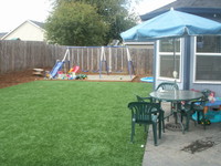 Turf Backyard